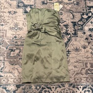 Signature by Sangria Strapless Sage Dress